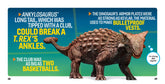 Weird But True! Dinosaurs: 300 Dino-Mite Facts to Sink Your Teeth Into (National Geographic Kids) - The English Bookshop Kuwait